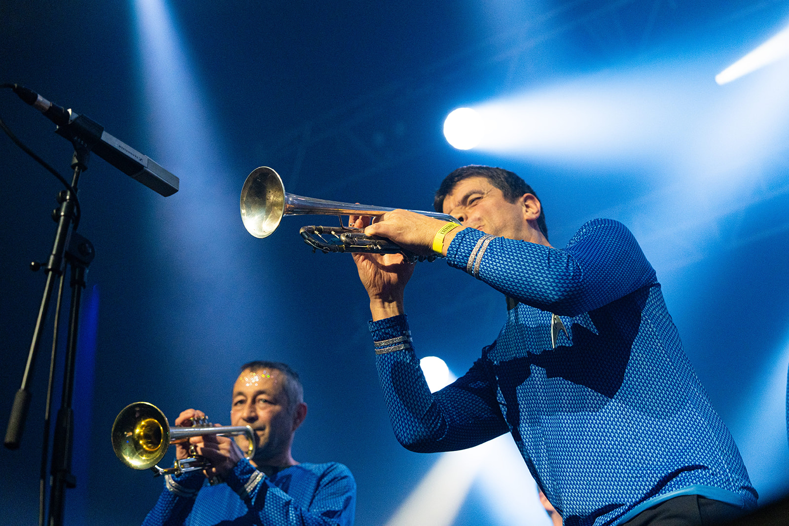 Washington Dead Cats – énergie brute